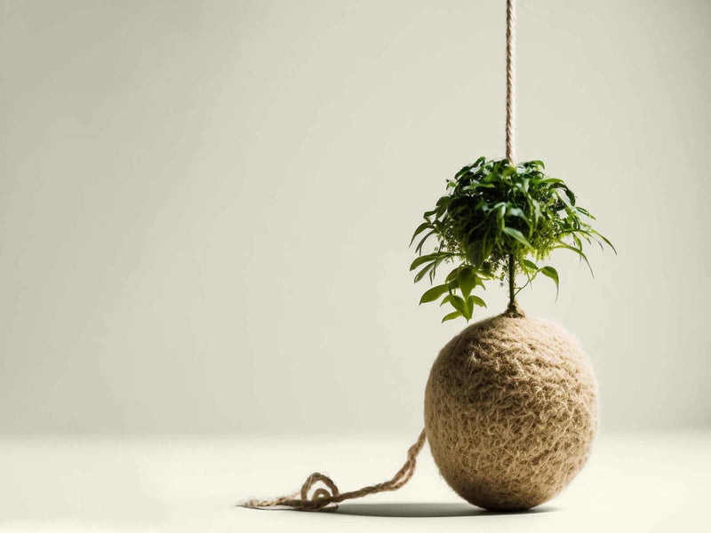 What plastic-free alternatives are there for everyday products?