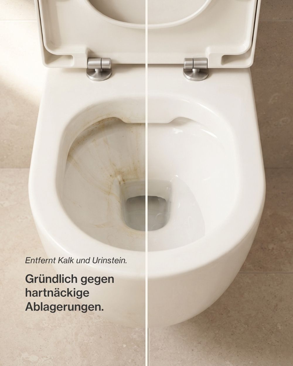 WC-Reiniger 750ml